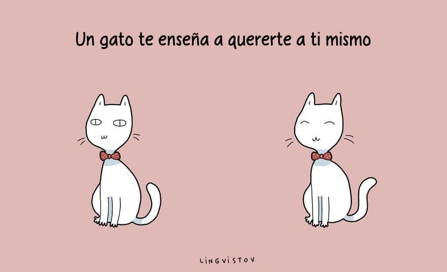 ilustraciones-ventajas-tener-gato-lingvistov-11