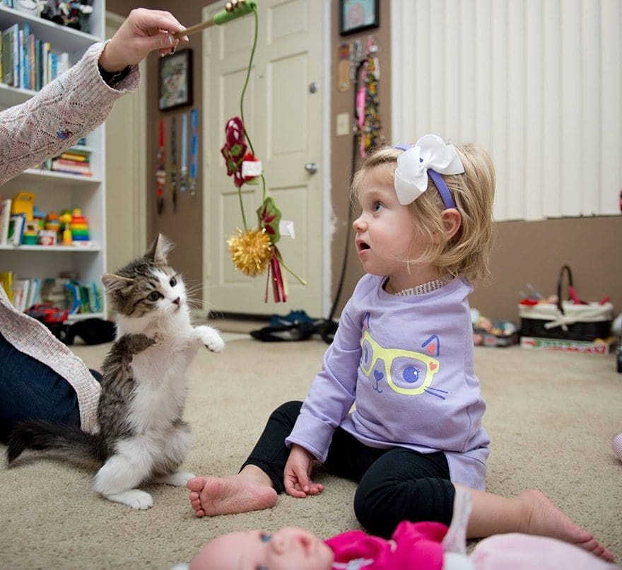 niña-y-pequeño-gatito-son-mejores-amigos