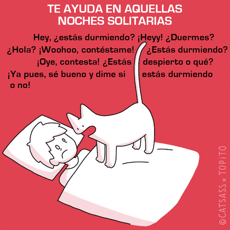 Cómo pueden los gatos ayudarte después de poner fin a tu relación a10