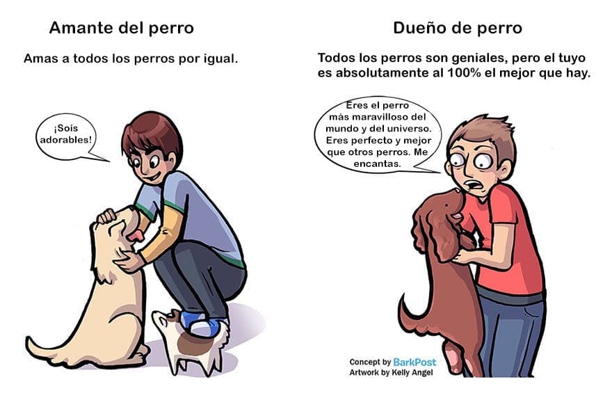 Divertidas diferencias entre ser amante de los perros y ser dueño de uno amor