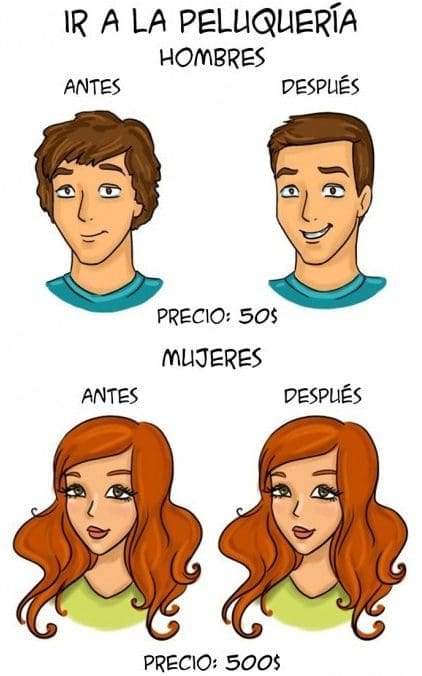 Ilustraciones que explican algunas diferencias entre hombres y mujeres f