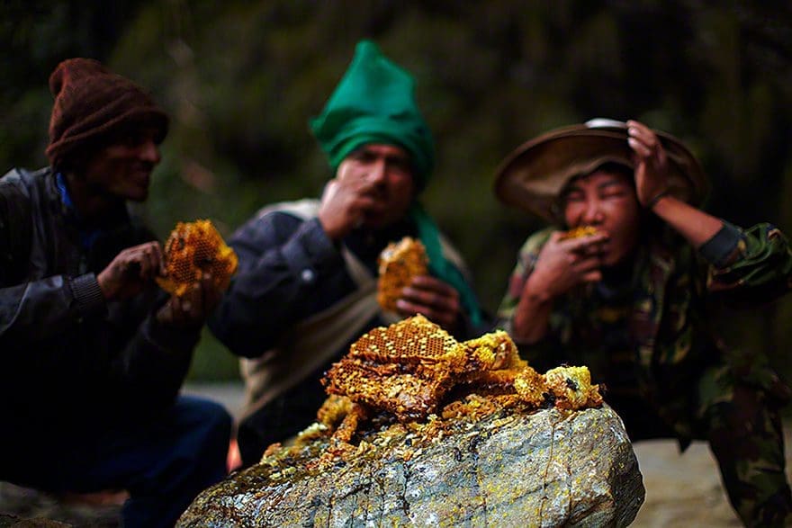 Cazadores de miel de los acantilados del Himalaya6