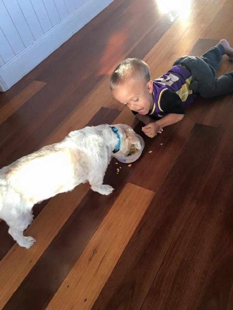 Este perro ayuda a este niño con enanismo a enfrentarse a quienes se burlan de él 03