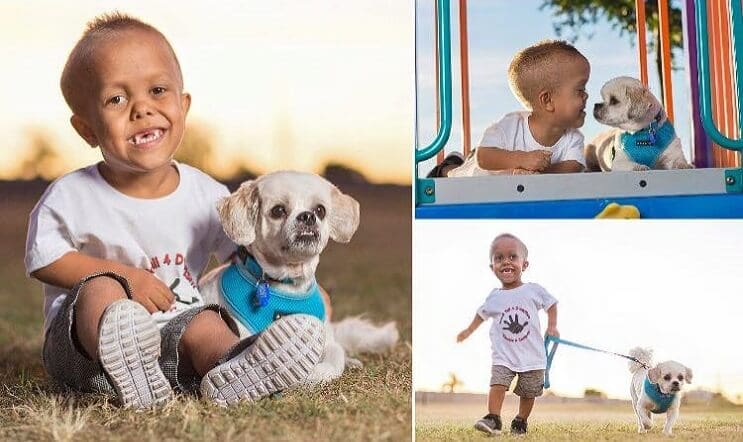 Este perro ayuda a este niño con enanismo a enfrentarse a quienes se burlan de él 05