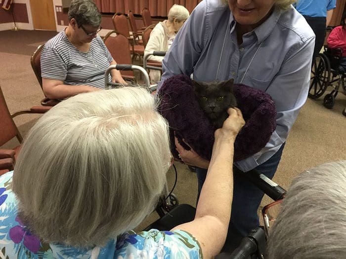 Increíble iniciativa que lleva amor a los adultos mayores a través de gatos adultos 06