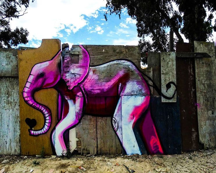 Una serie de graffitis de elefantes buscan dar esperanza a Sudáfrica 13