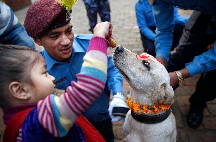 Kukur Tihar, festival que rinde homenaje a los perros como debe ser 11