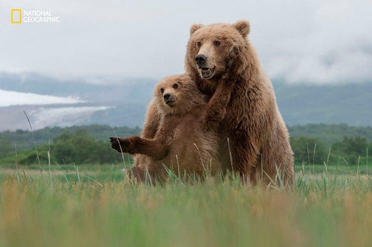 estas-fotos-de-national-geographic-nos-muestran-lo-bella-que-es-la-vida-animal-2