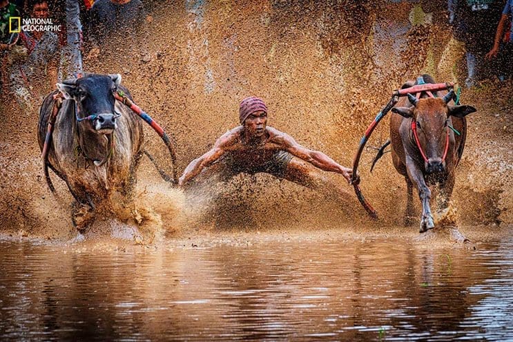 estas-fotos-de-national-geographic-nos-muestran-lo-bella-que-es-la-vida-animal-8