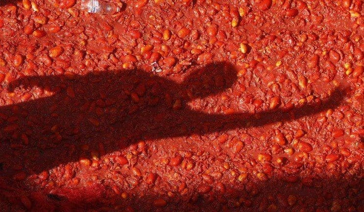 La Tomatina la pelea de comida más grande del mundo 10