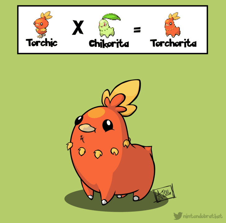 chikorita