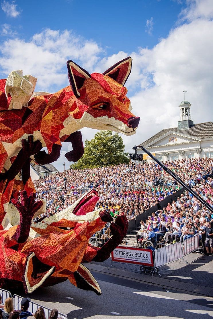 zorros parada de flores