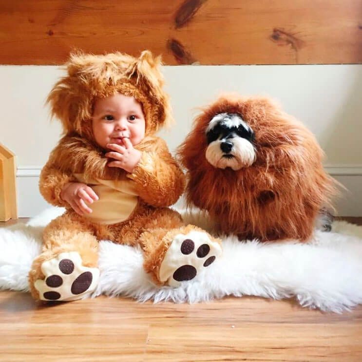 estos-ninos-con-sus-mascotas-son-todo-lo-que-halloween-necesita-3