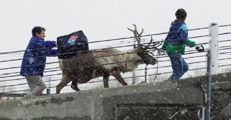 esta-navidad-dominos-pizza-busca-llevar-sus-pizzas-con-renos-de-verdad-practicas