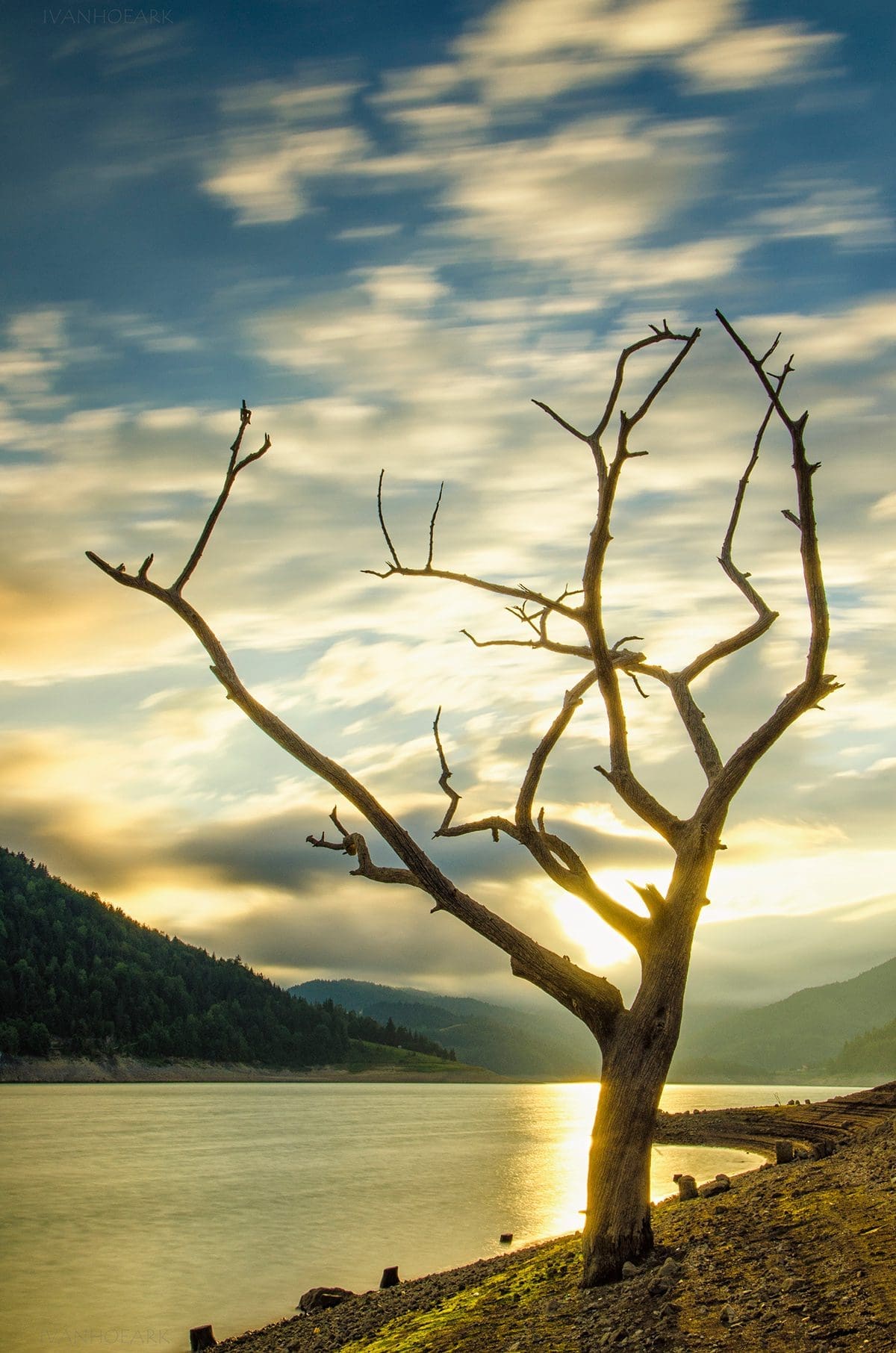 Vida y naturaleza plasmadas en fotografías  2