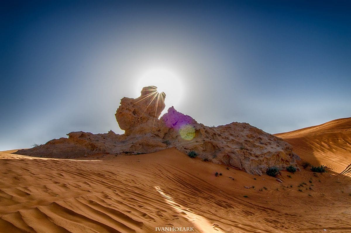 Vida y naturaleza son plasmadas en las fotografía 1