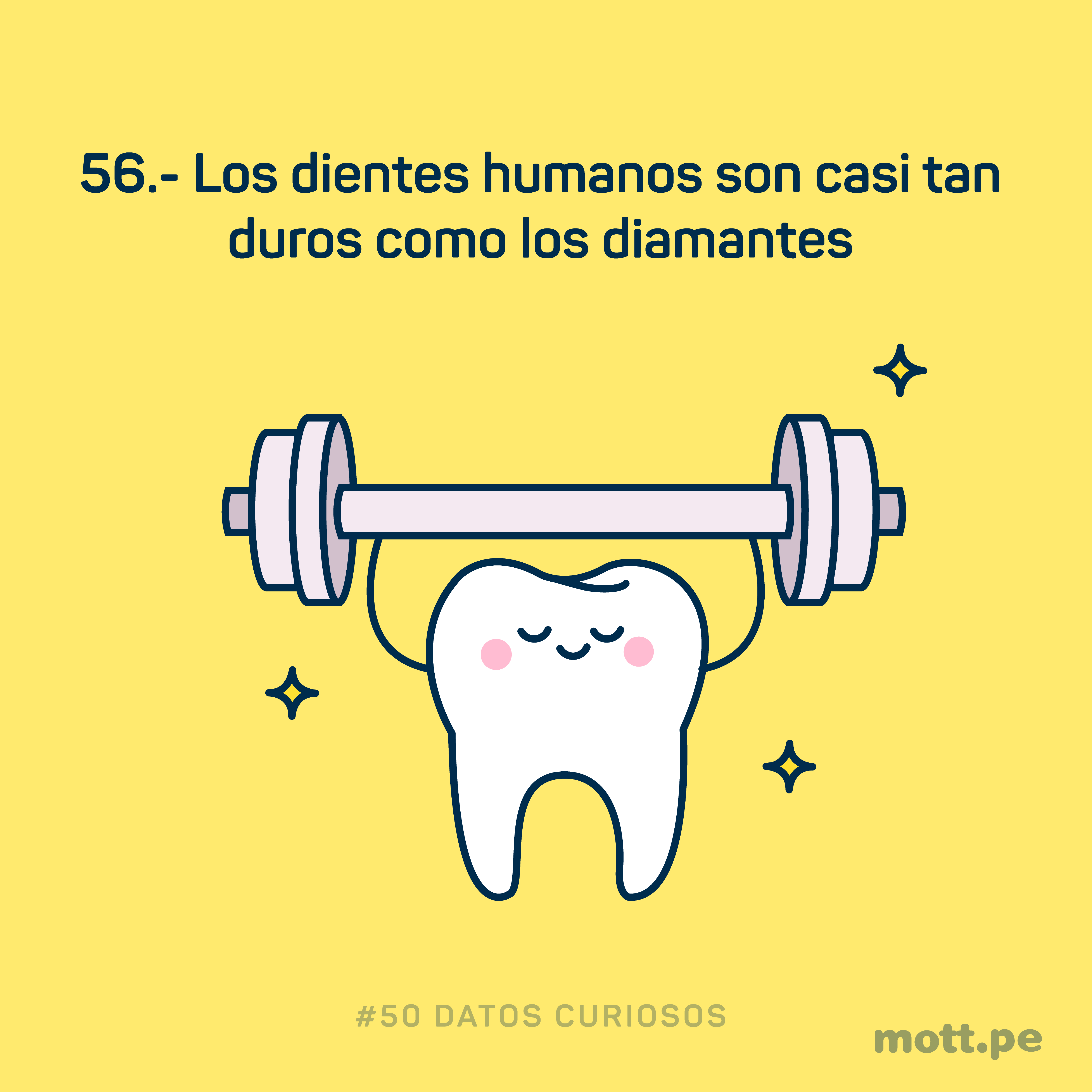 los dientes pueden ser duros como diamantes